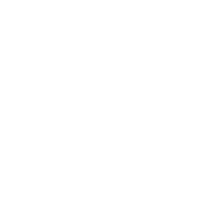 anticipacion accion asesores security wh300